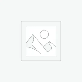 Uncategorized